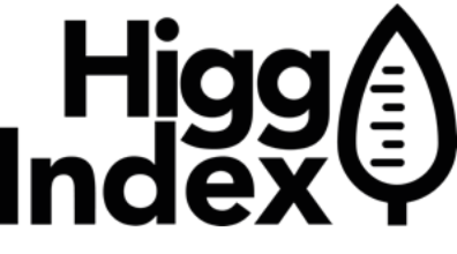 HIGG FEM